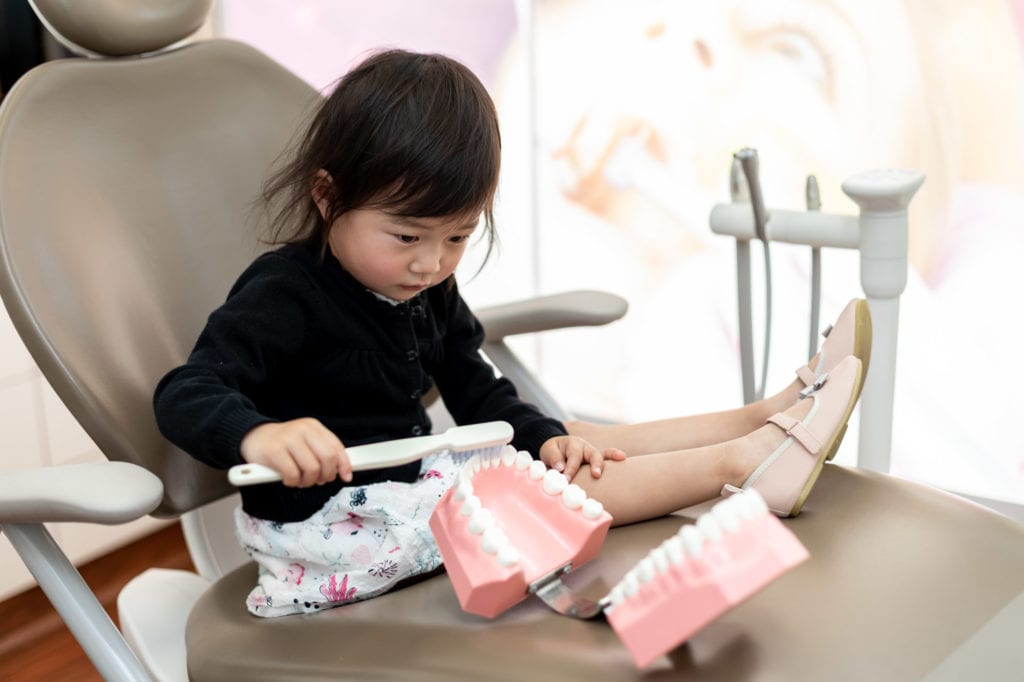 Child cleaning teeth model at dentist